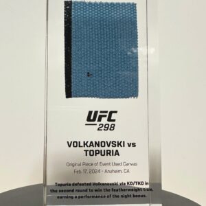UFC 298 - Topuria vs Volkanovski - Canvas in acrylic